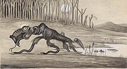 Many mythical animals such as the Bunyip are from dream time stories or are created by Aboriginals